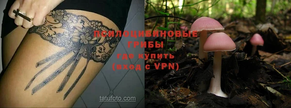 герыч Касимов