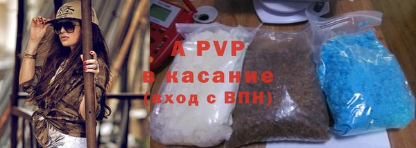 тгк Каменногорск