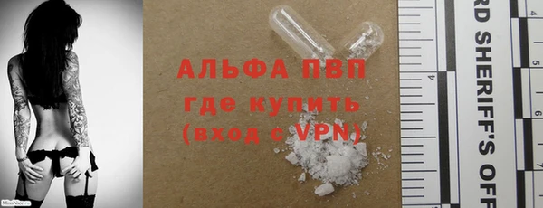 спиды Каменка