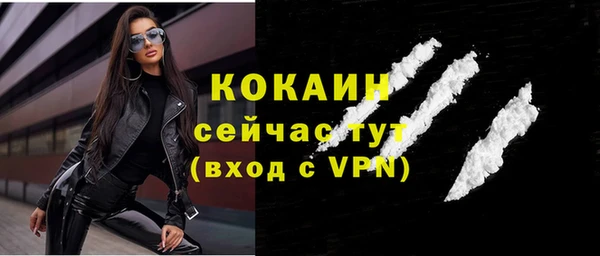 спиды Каменка