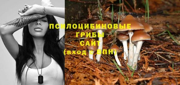 тгк Каменногорск