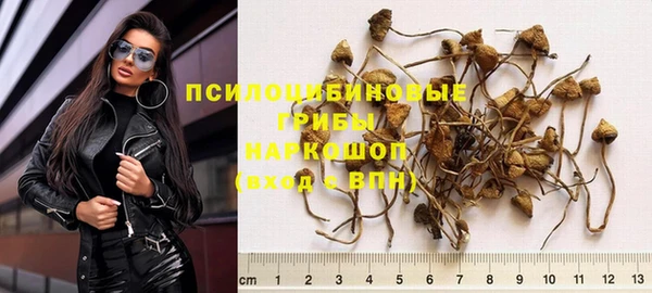 спиды Каменка