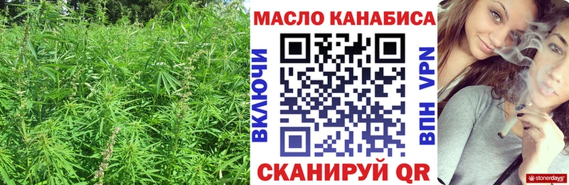 Купить где  Звенигород  ТГК THC oil 